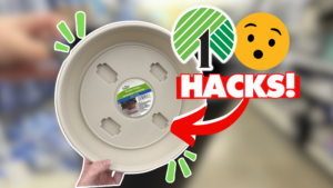 ALL NEW Magic Dollar Tree Hacks you MUST TRY Today!