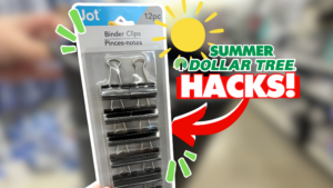25+ Dollar Tree Life Hacks you NEED to know for Summer!